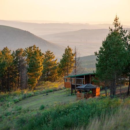 Dargle Forest Lodge المظهر الخارجي الصورة