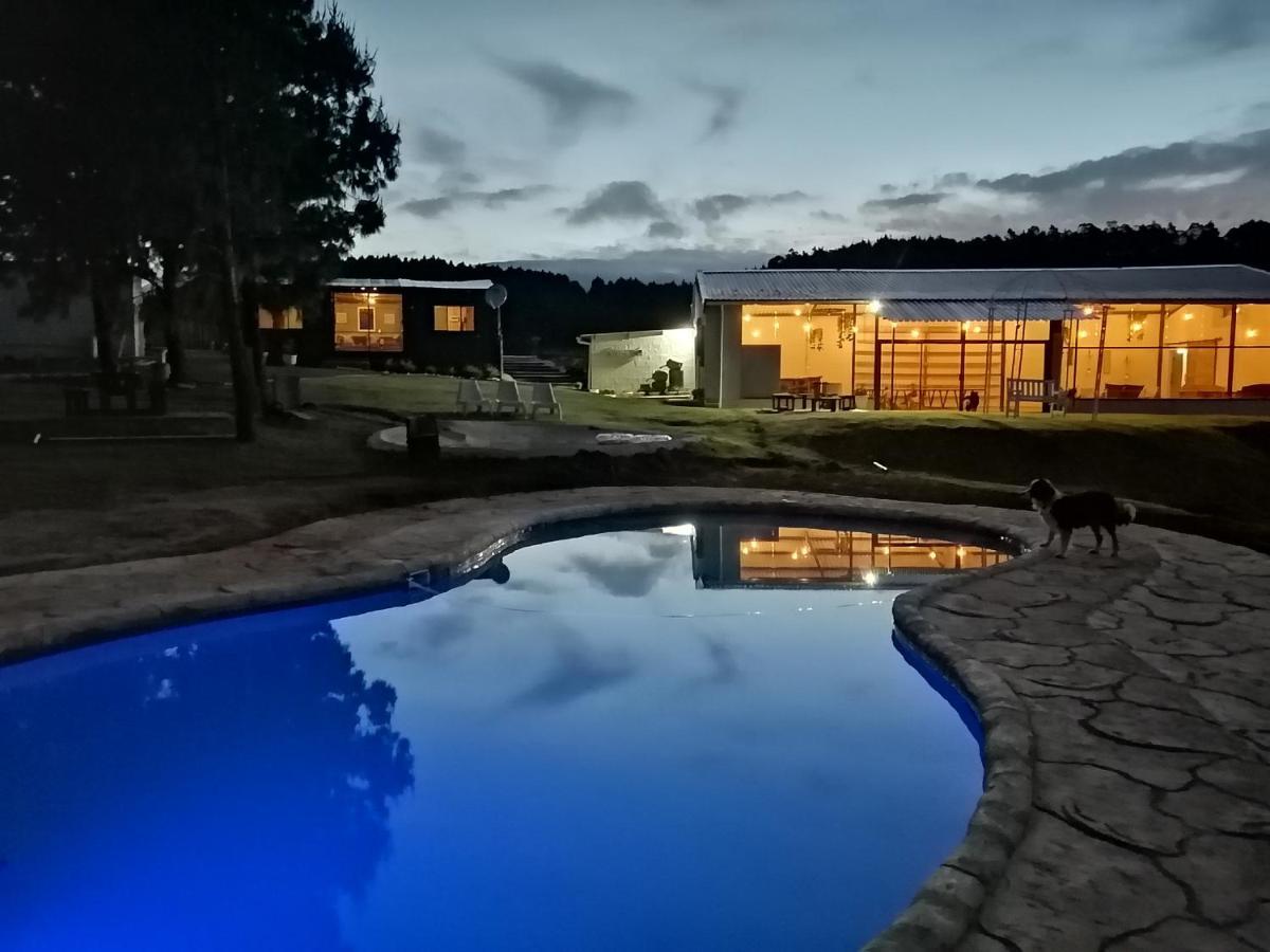 Dargle Forest Lodge المظهر الخارجي الصورة