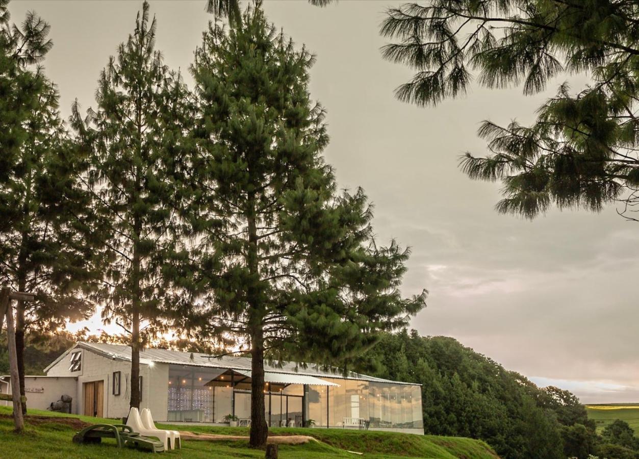 Dargle Forest Lodge المظهر الخارجي الصورة