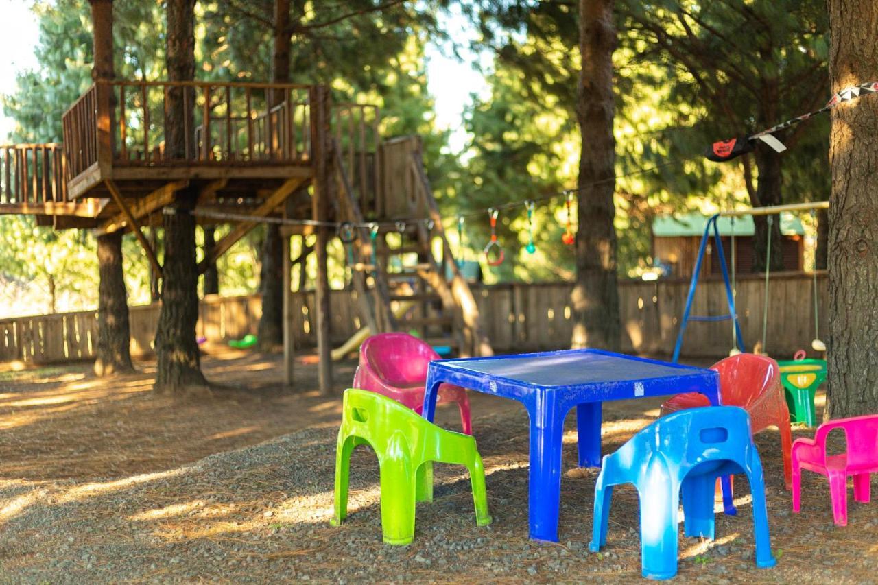Dargle Forest Lodge المظهر الخارجي الصورة