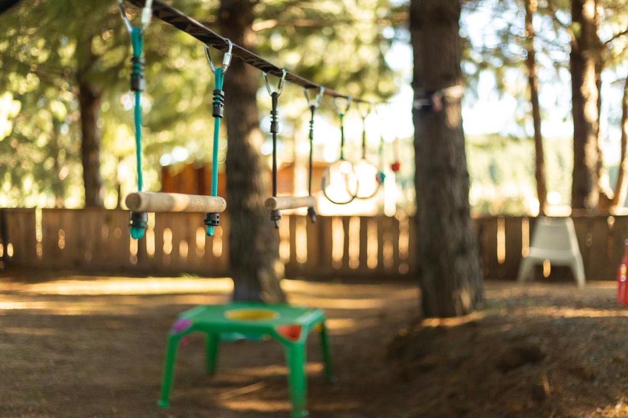 Dargle Forest Lodge المظهر الخارجي الصورة