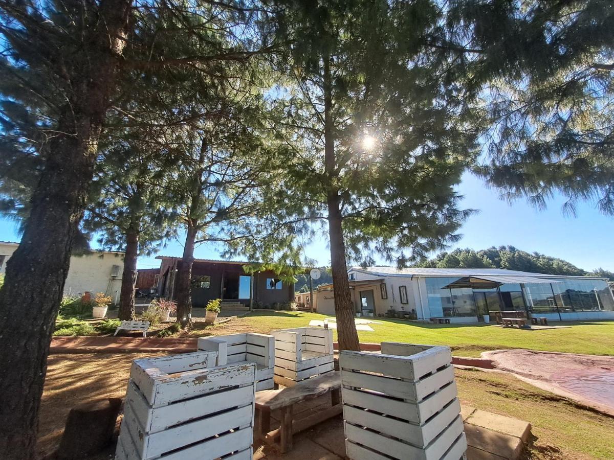 Dargle Forest Lodge المظهر الخارجي الصورة