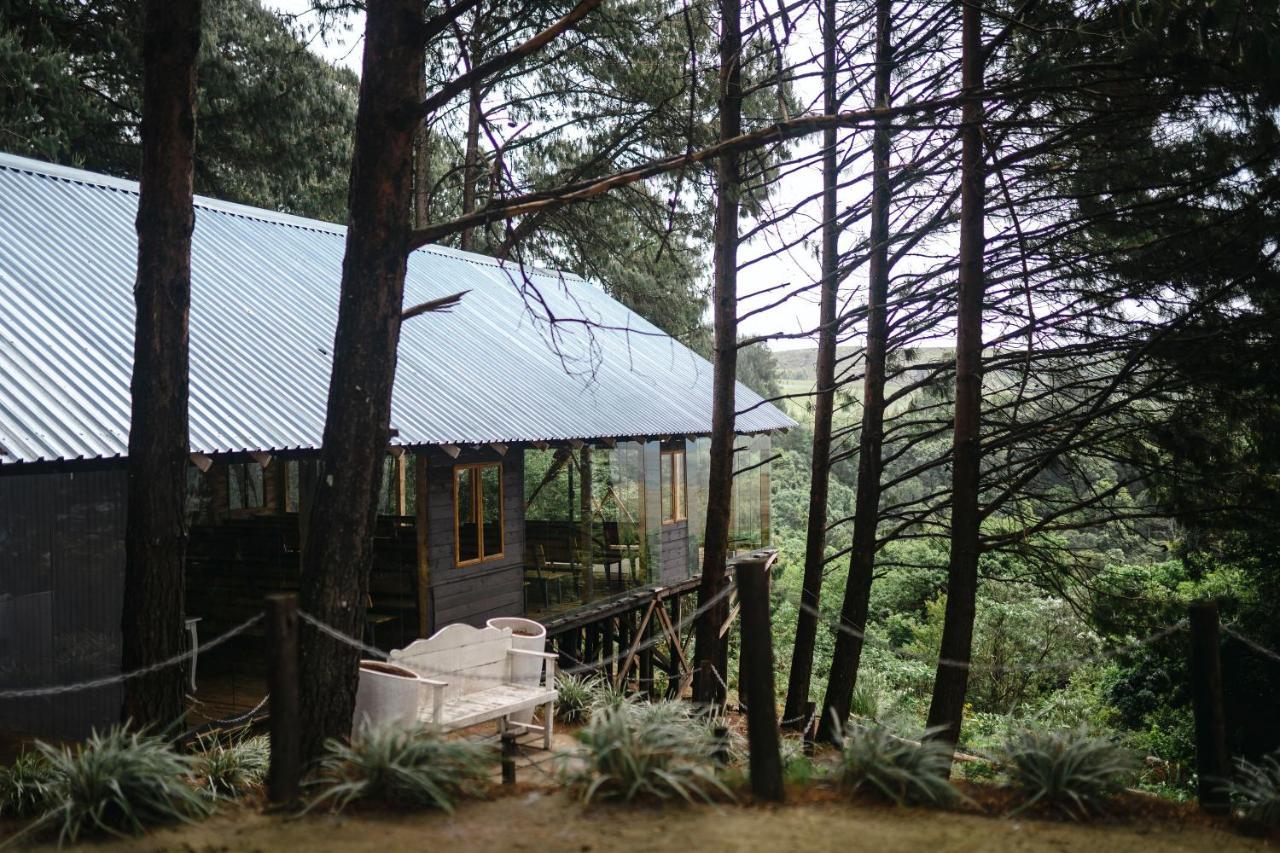 Dargle Forest Lodge المظهر الخارجي الصورة