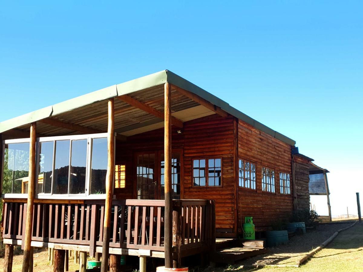 Dargle Forest Lodge المظهر الخارجي الصورة