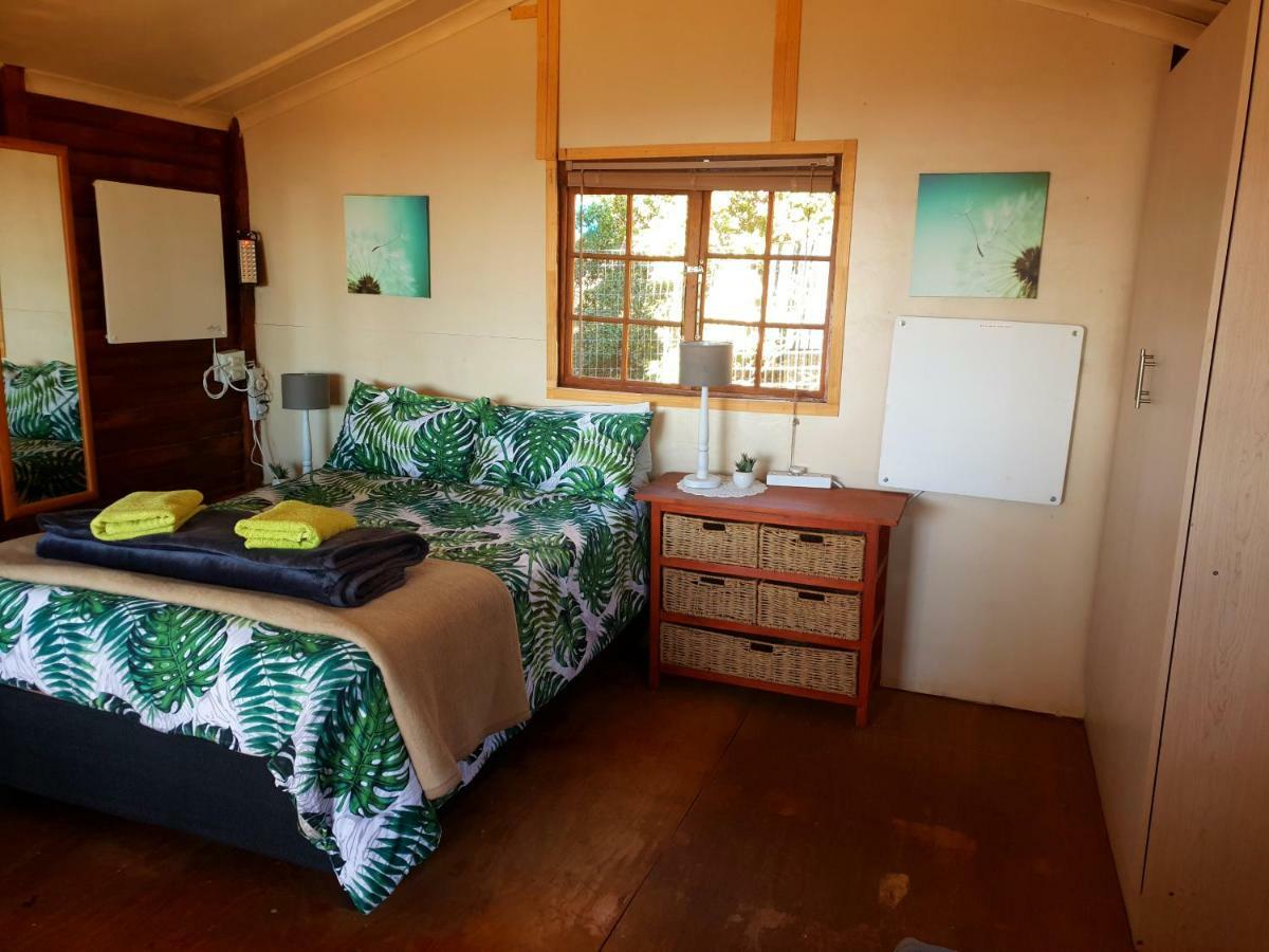 Dargle Forest Lodge المظهر الخارجي الصورة