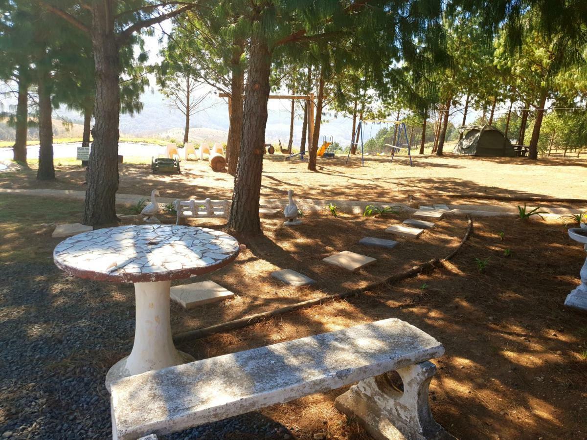 Dargle Forest Lodge المظهر الخارجي الصورة
