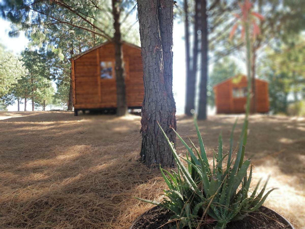 Dargle Forest Lodge المظهر الخارجي الصورة