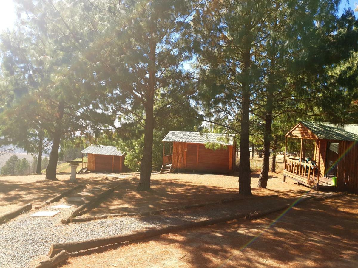 Dargle Forest Lodge المظهر الخارجي الصورة