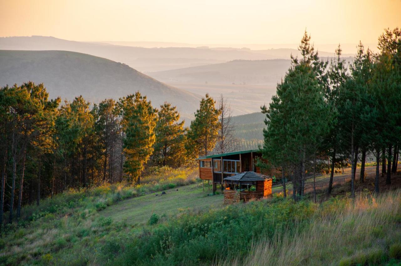 Dargle Forest Lodge المظهر الخارجي الصورة
